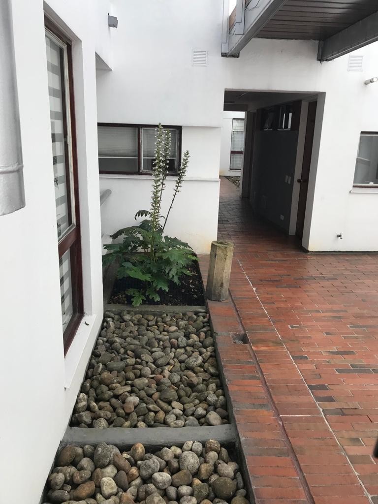 Apartamento – Centro Historico – Bogota