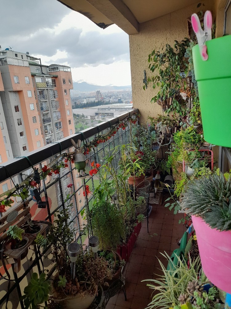 Apartamento – Pontevedra – Bogota